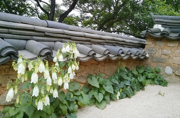 Okyeon Jeongsa Bed & Breakfast Andong Exterior photo
