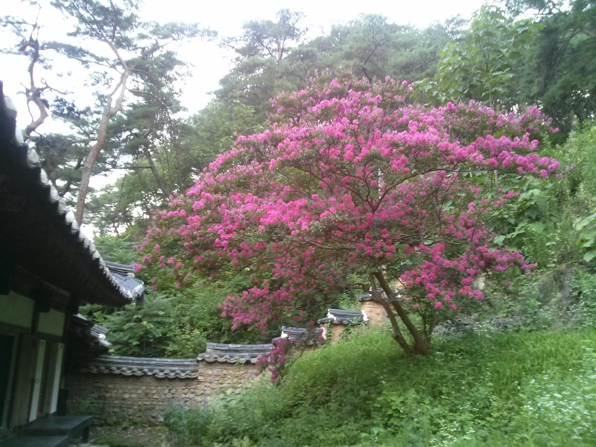 Okyeon Jeongsa Bed & Breakfast Andong Exterior photo